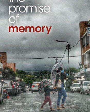 The Promise of Memory cover
